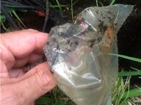 Telstra professional care