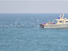 11050781 10153205898732146 606602841772117538 n