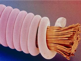 guitar-string 1802611i