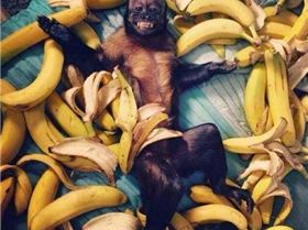 banane