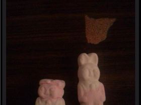 1922477 300432366787857 434527989 n