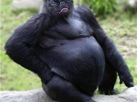 1975117 664117363650044 2145596010 n