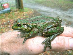 Just lookin for ma motorbike.