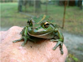 Just lookin for ma motorbike.