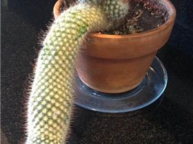 enhanced-26462-1402592507-10