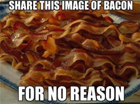 bacon