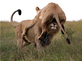 she wanted to go for a ride big