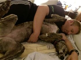 image-e3e99e3848b9557d3029d92627ffd4f85e1a6be31da434bf46b48e8c2e359c50-V[1]