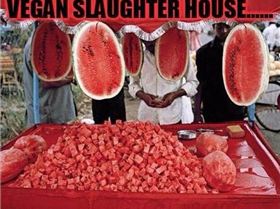 Vegan-Slaughter-House