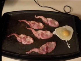 bacon sperm