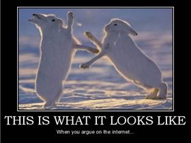 this-is-what-it-looks-like-funny-rabbit-argue-internet-dumb-demotivational-poster-1250976231