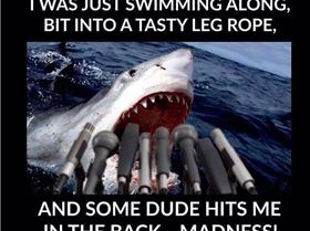 FB IMG 1437384012887