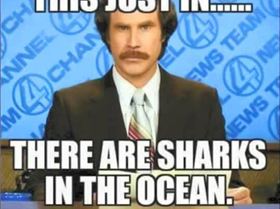 10407792 10155850343335634 6079766126408065534 n