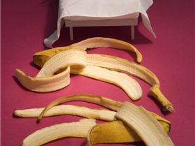 0d097d3010ae0133f5f9005056a9545d