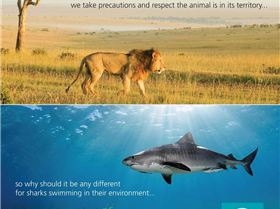 11707605 402781973255883 6128278779968463518 n