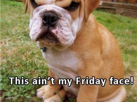 imagesof-course-its-monday