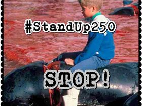 11870699 10153558055003259 1012088859874183921 n