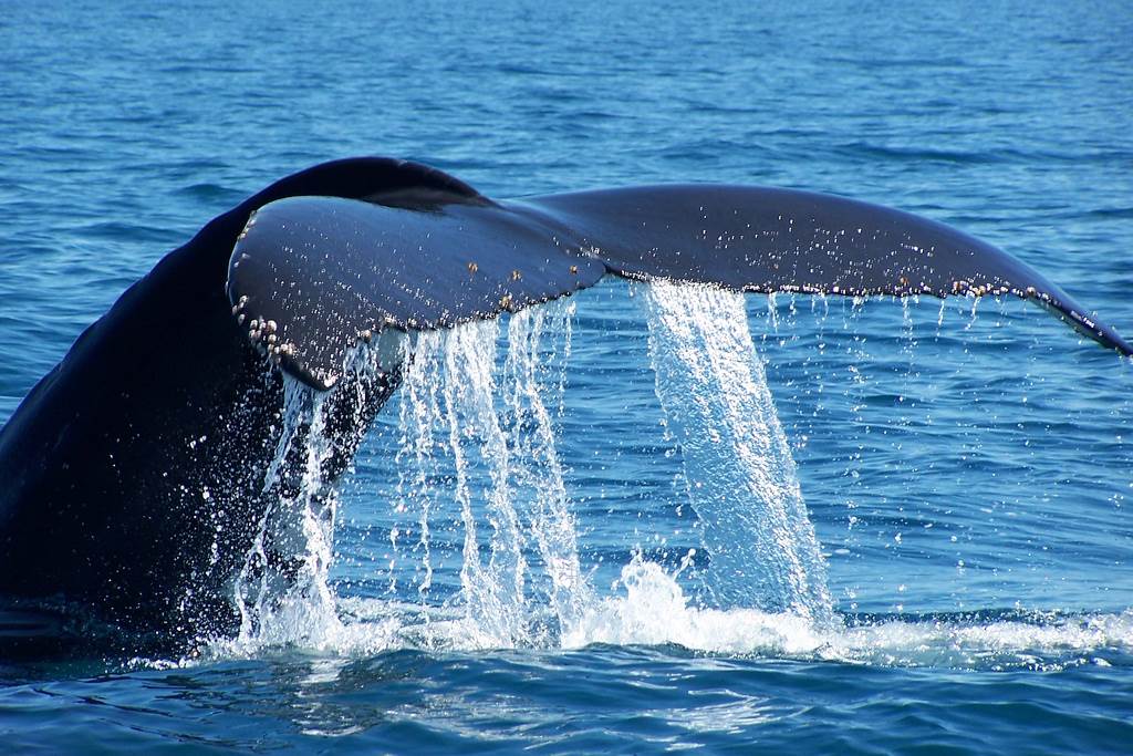 4372181281 5674ae74b7 b[1]