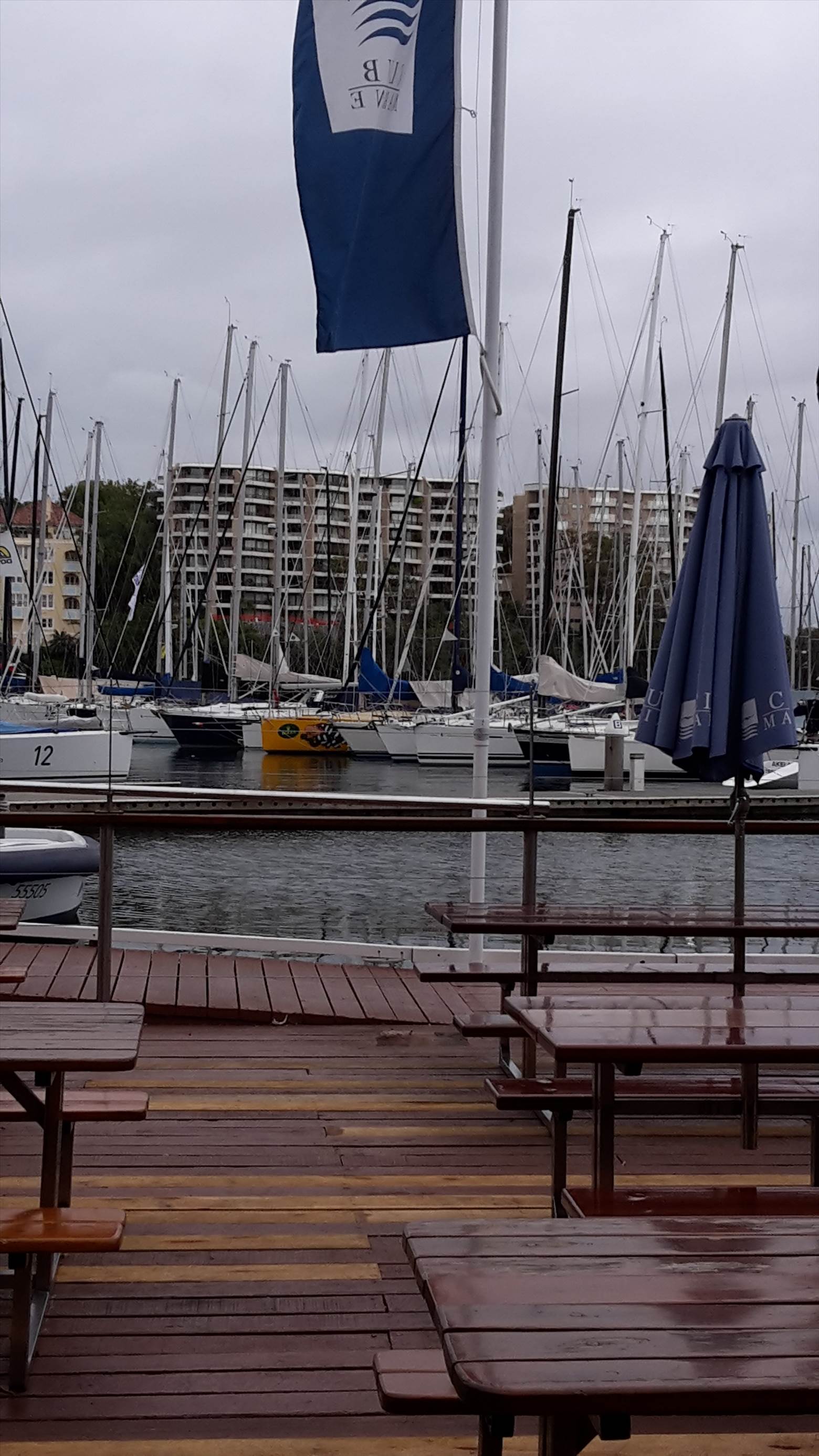 Cannot make up my mind.....