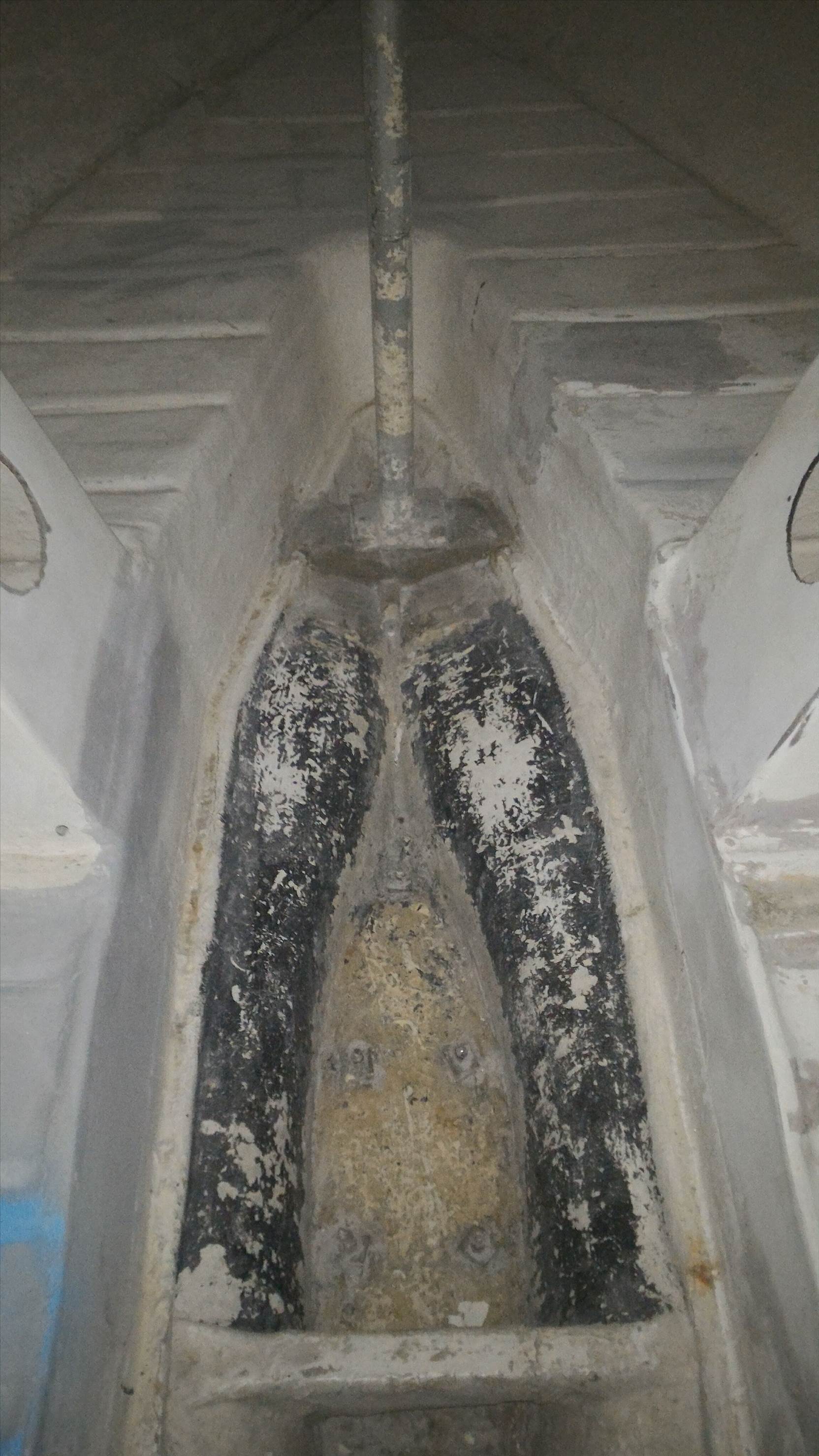 P 20160330 183950 1 p