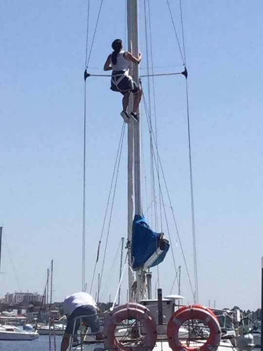 FB IMG 1454287434932