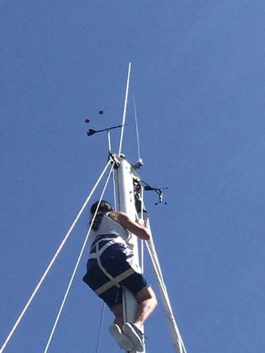 FB IMG 1454287413217