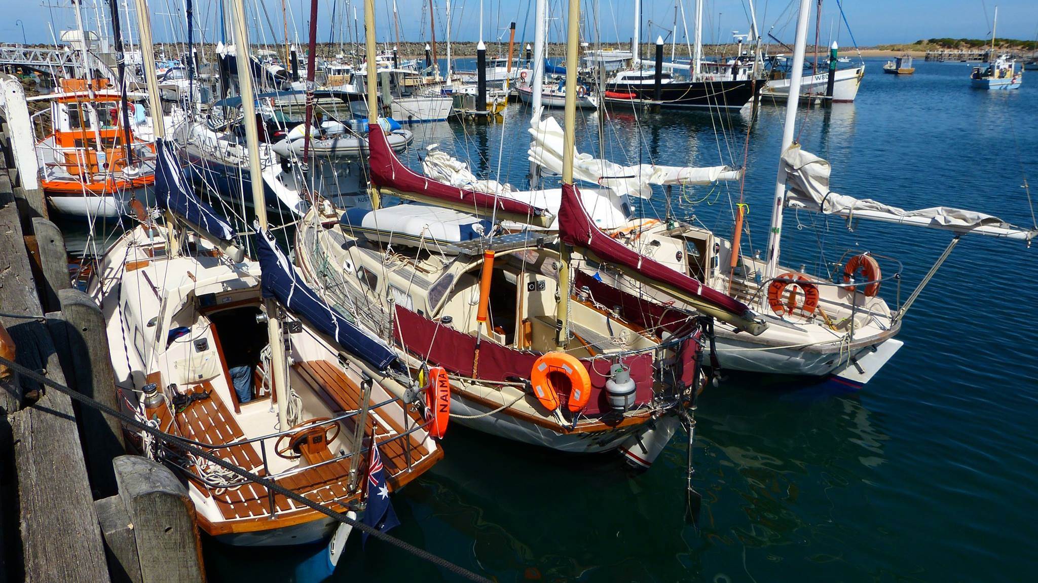 10904013 740402169389335 7313558381746819559 o