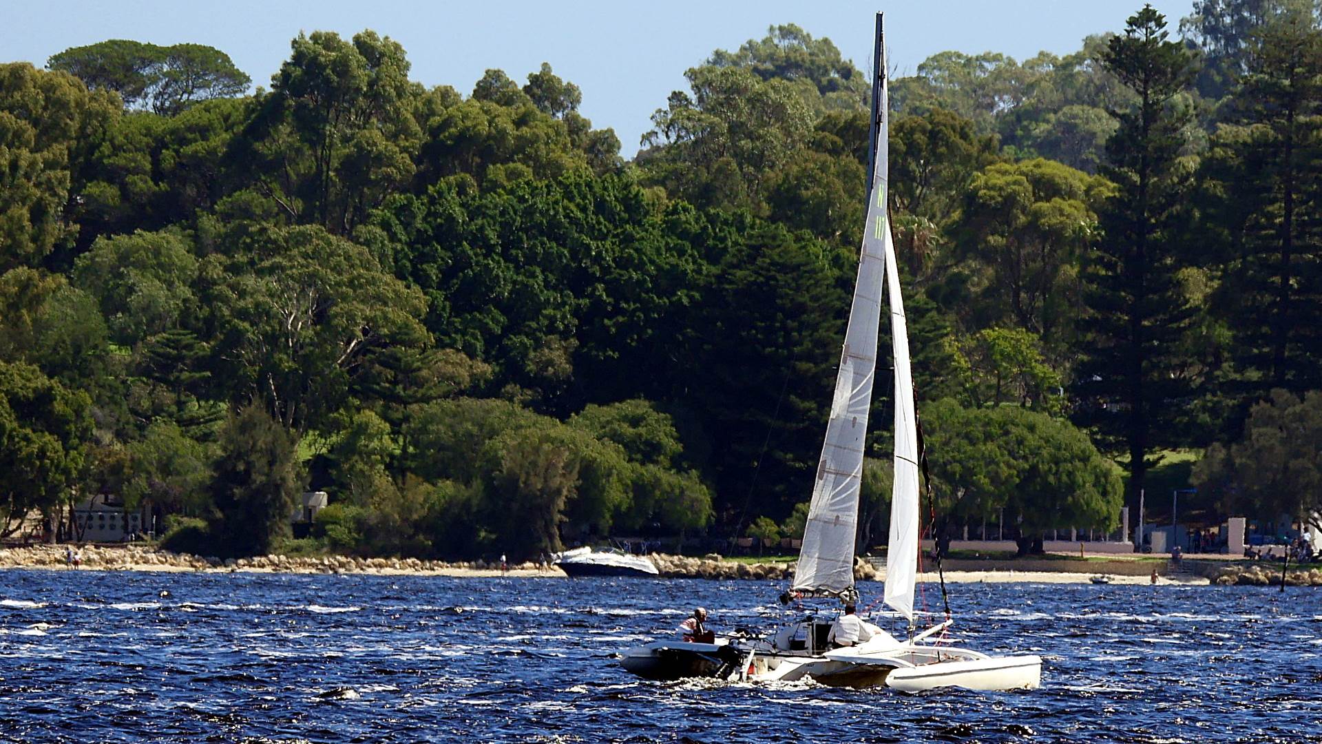 Big Tris and Cats on Swan