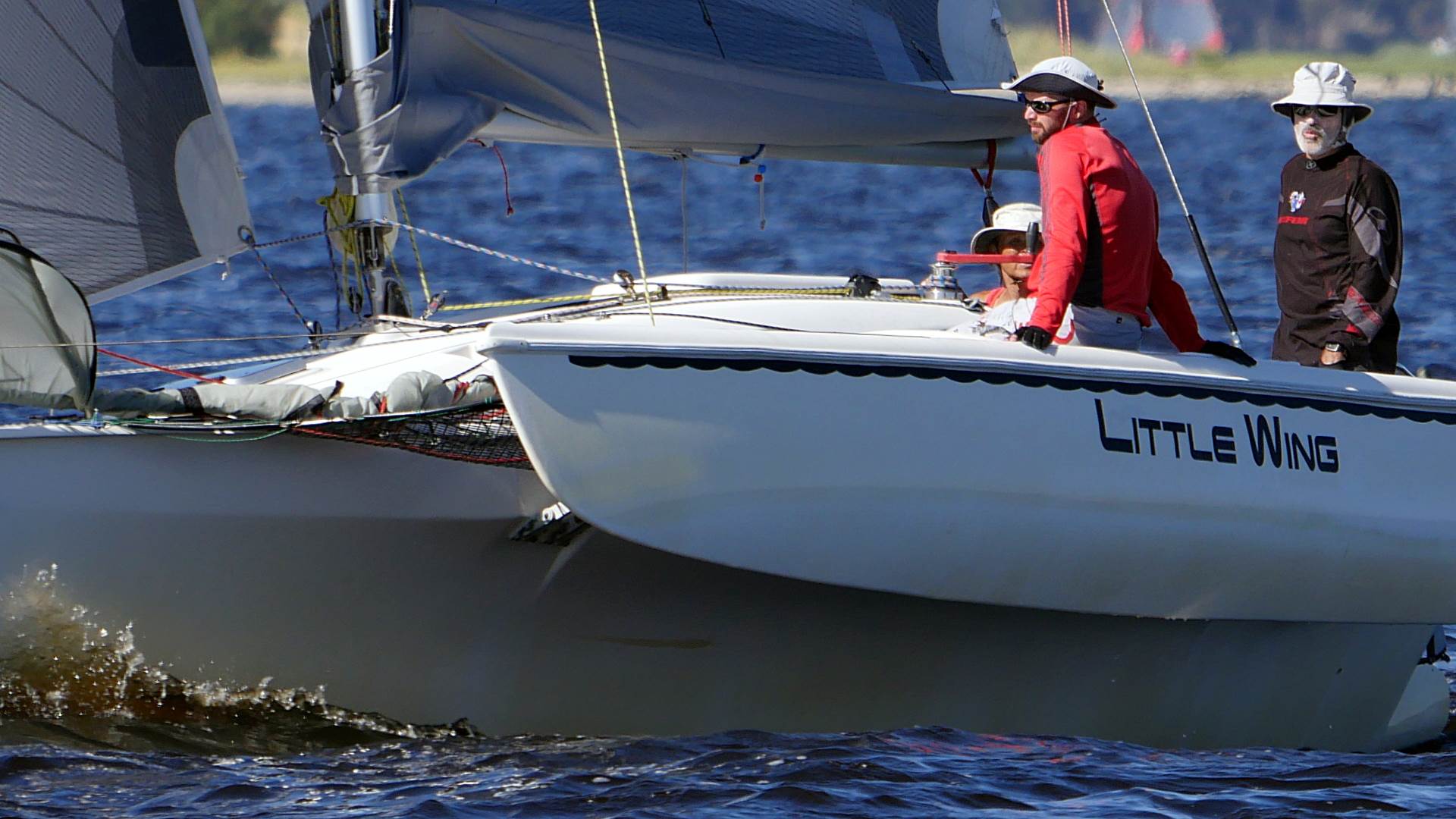 Big Tris and Cats on Swan