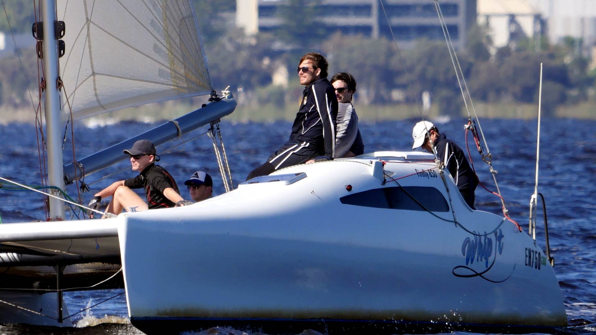 Big Tris and Cats on Swan