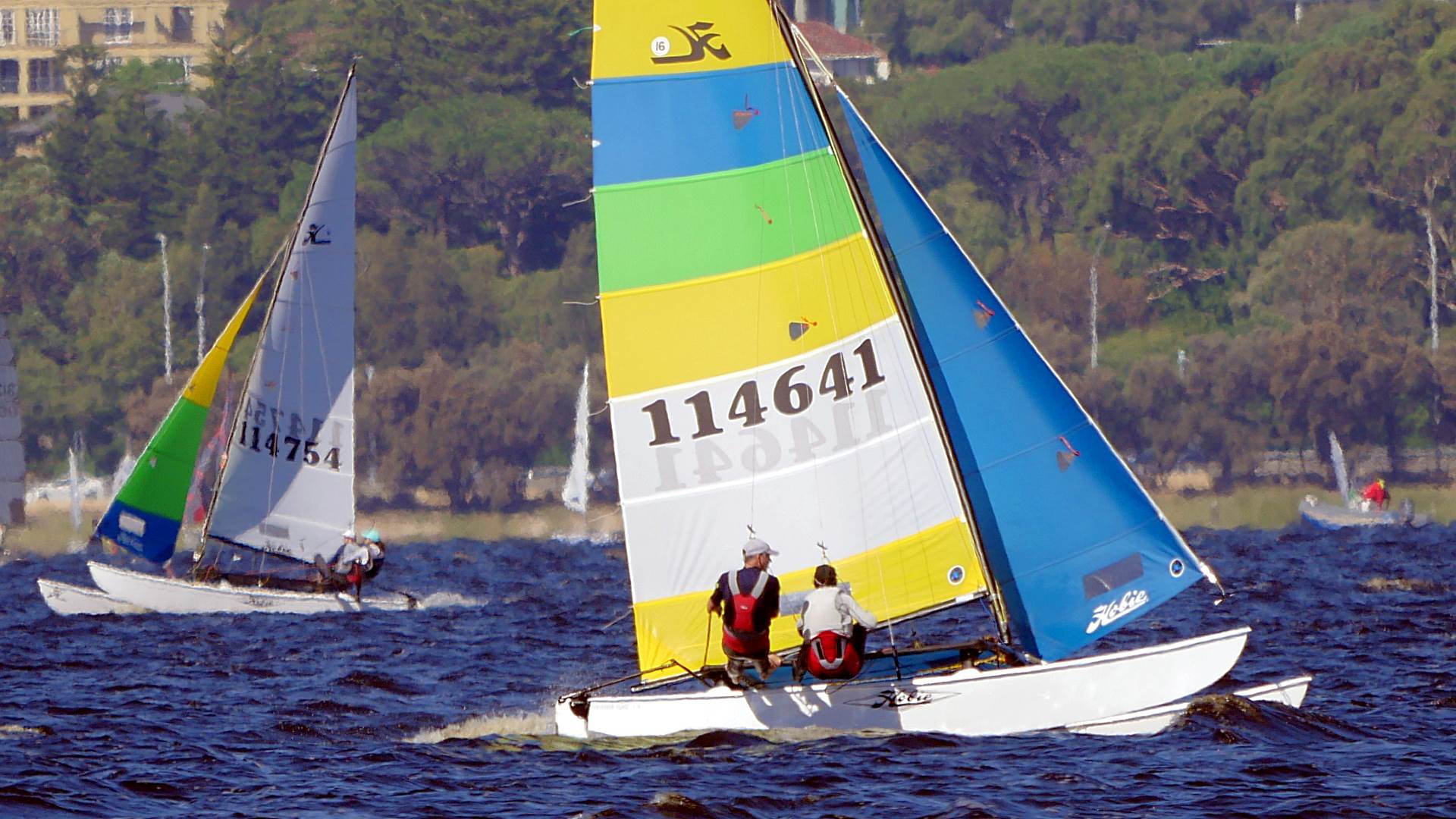 Hobie 16s