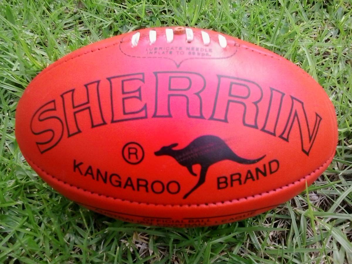 Sherrin footy-e1450221983385