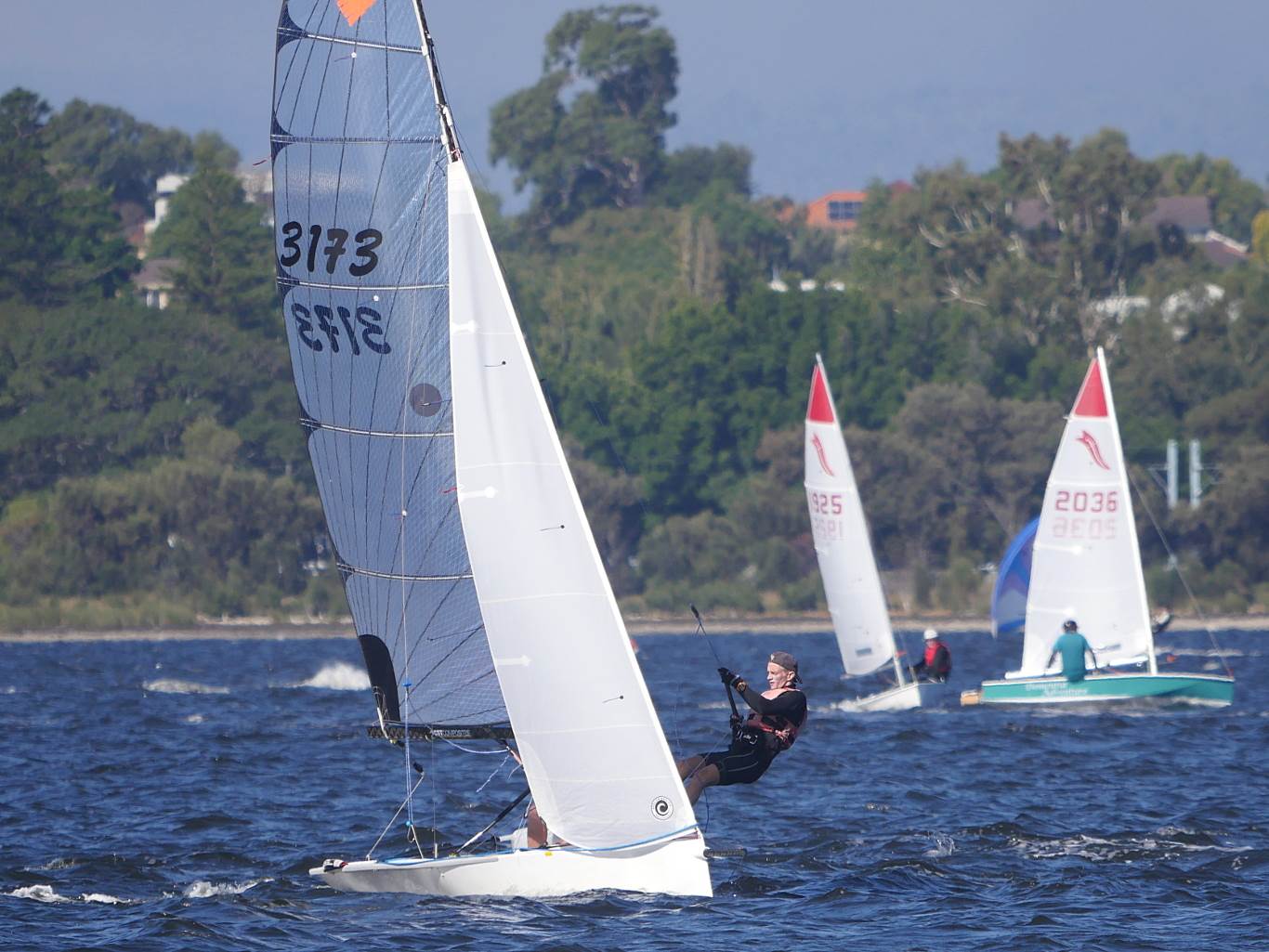 Cherubs on Swan River