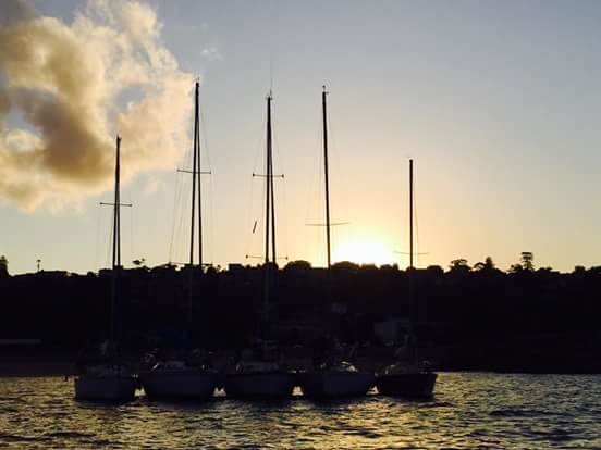 FB IMG 1492319946871