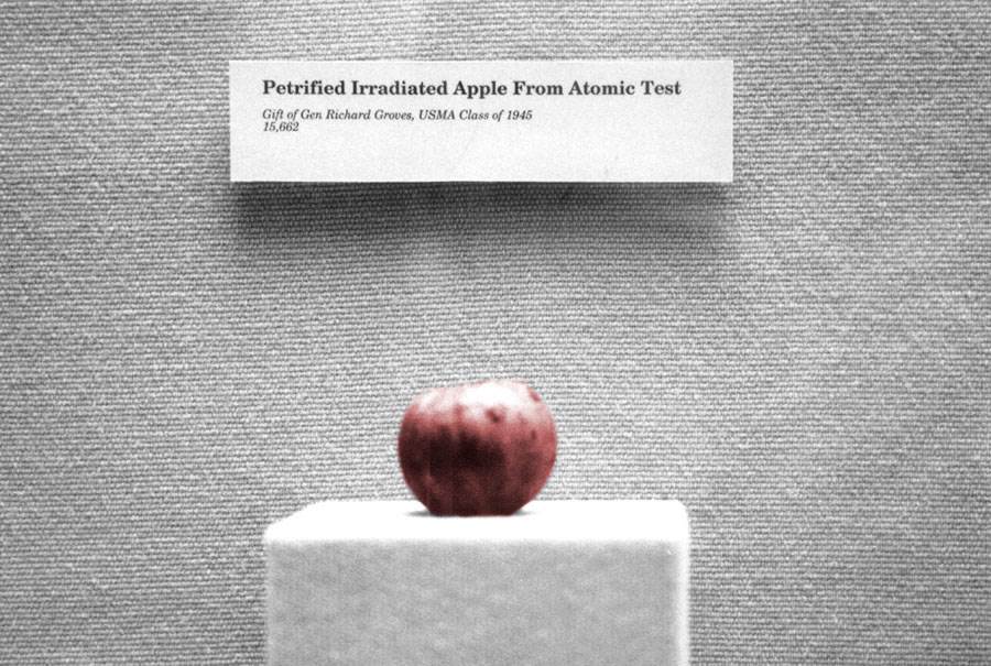 Petrified-apple