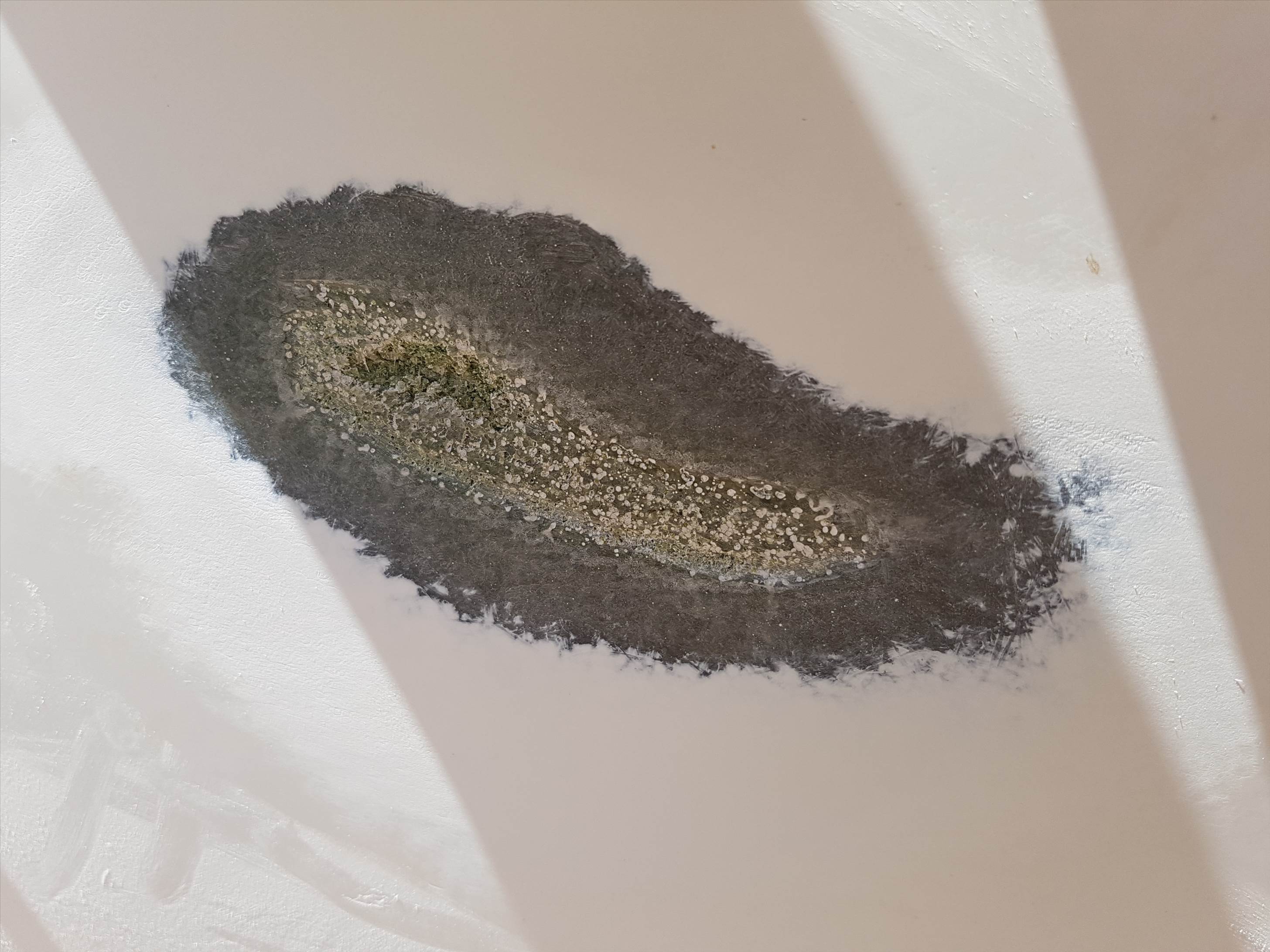 tmp 21332-20171107 1433121002642543