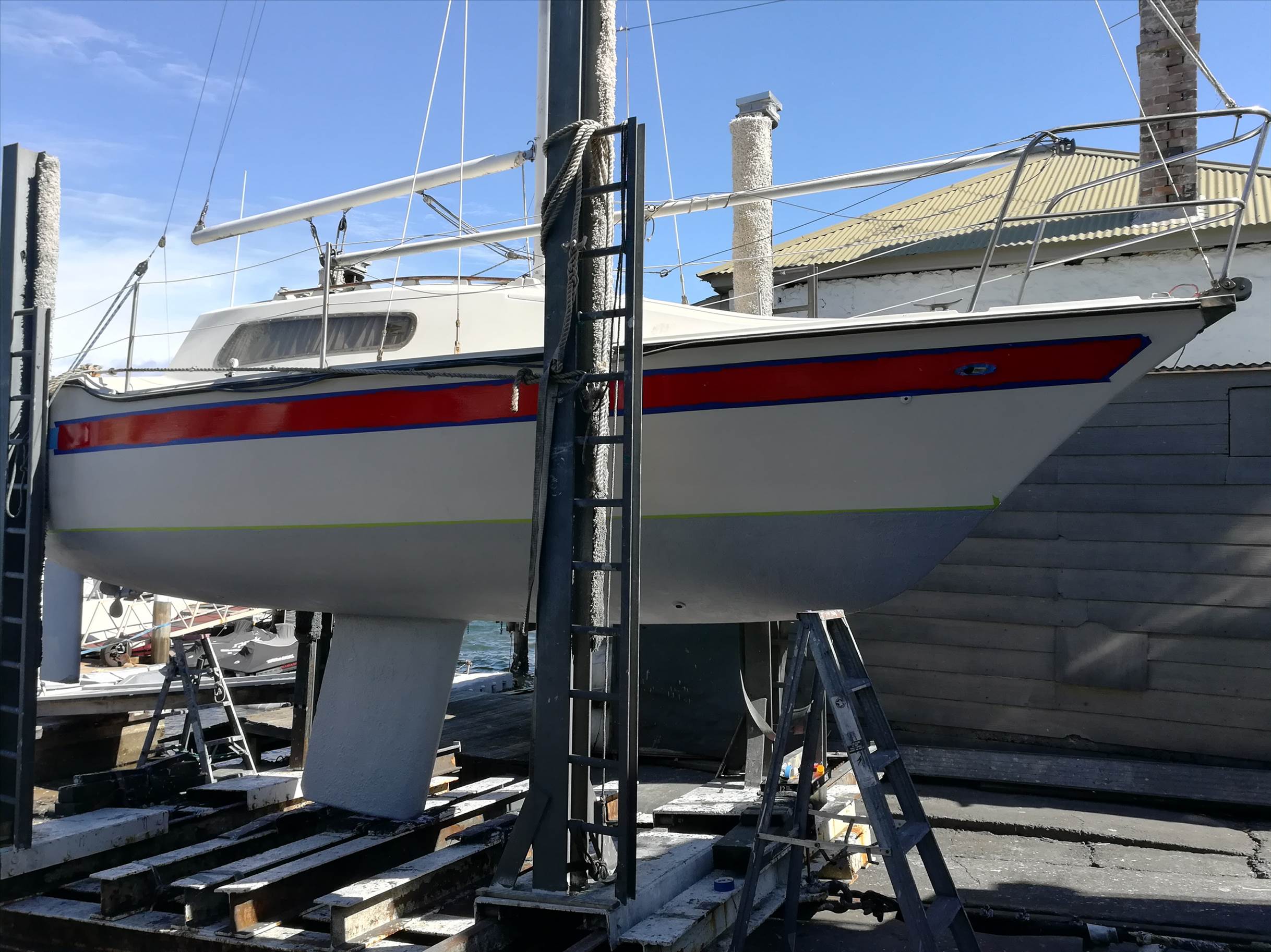 Mystere 25 'Lady in Red'