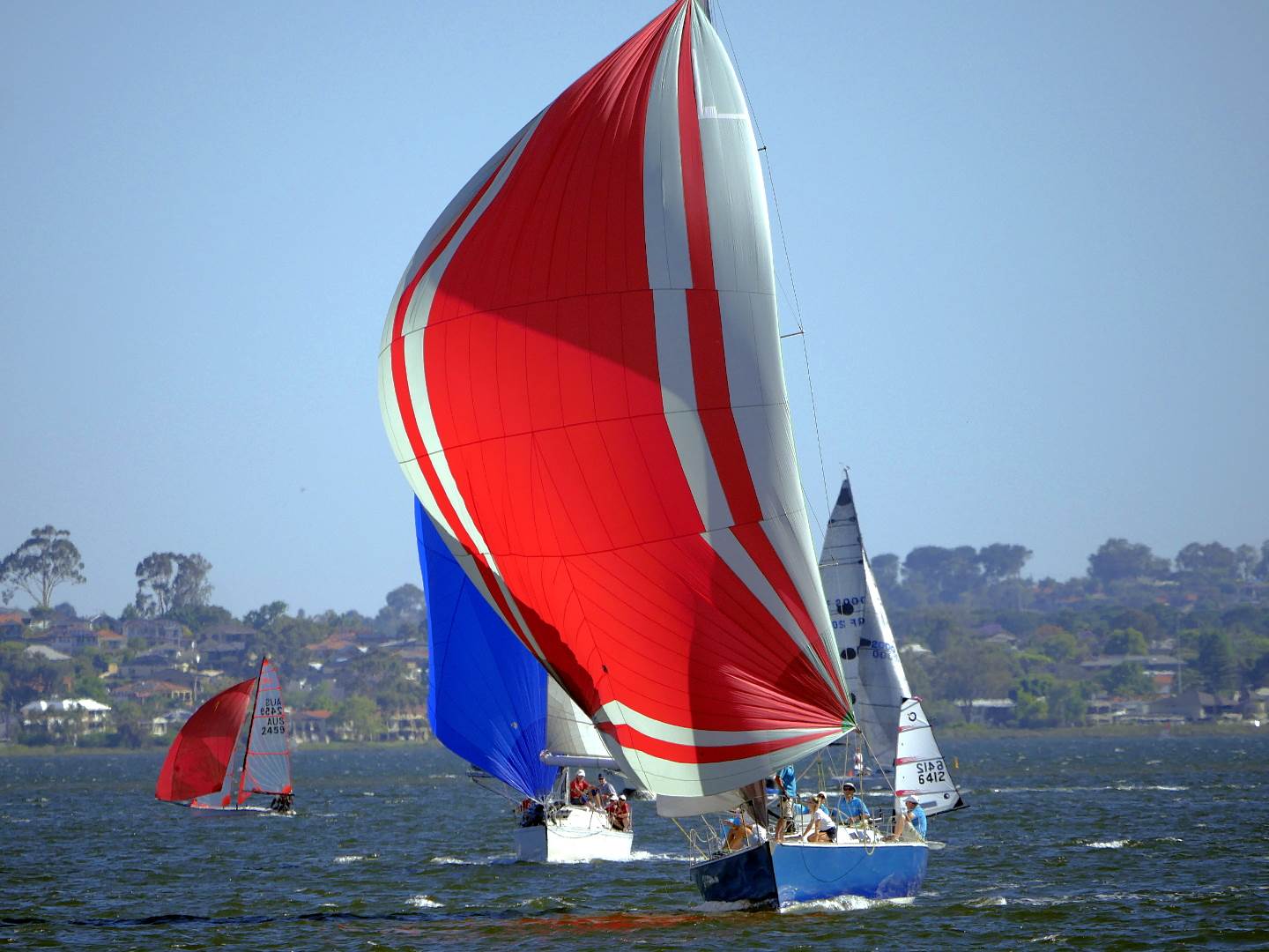 Big Spinnakers