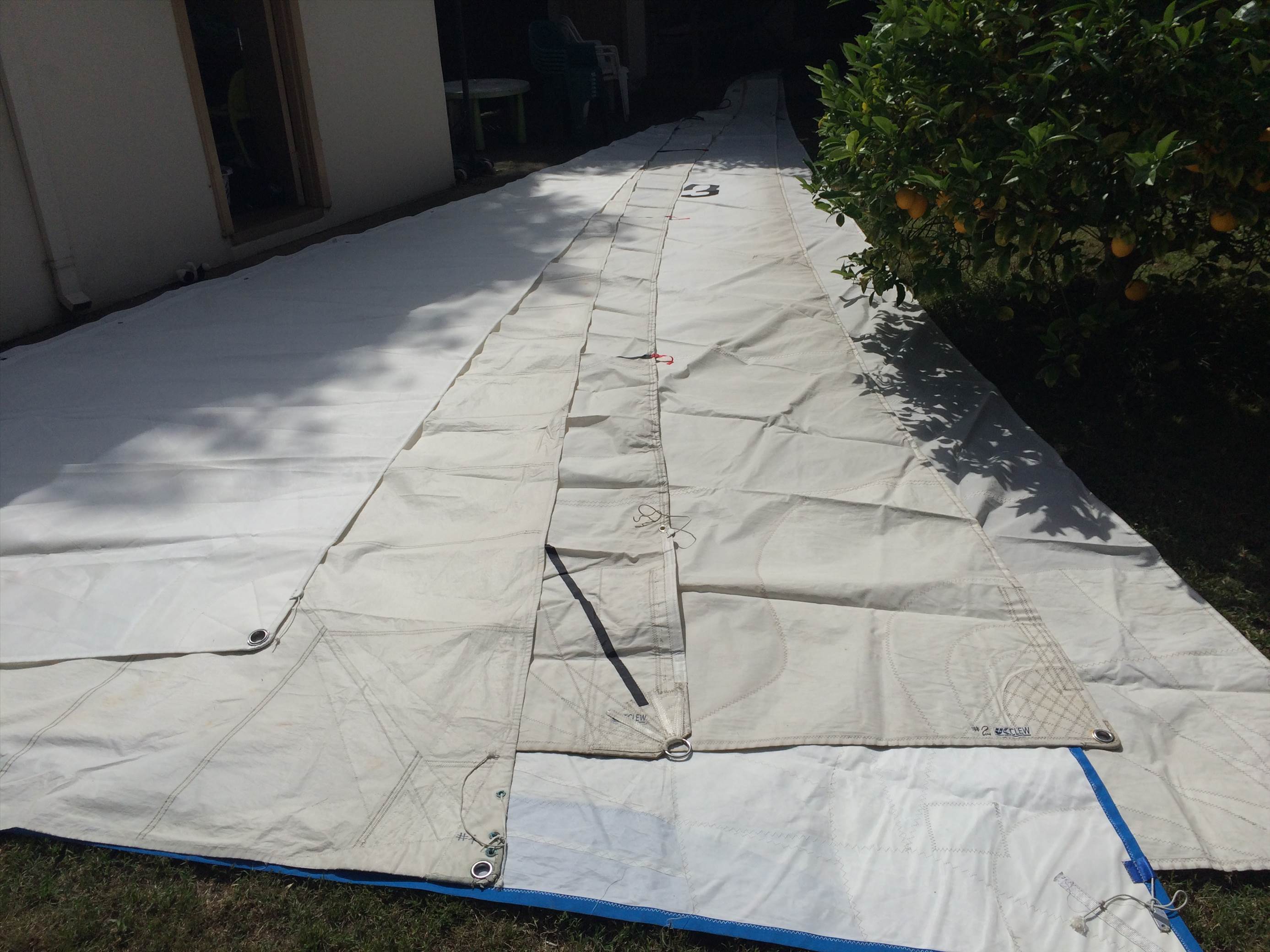 38919103592 5815abe511 o