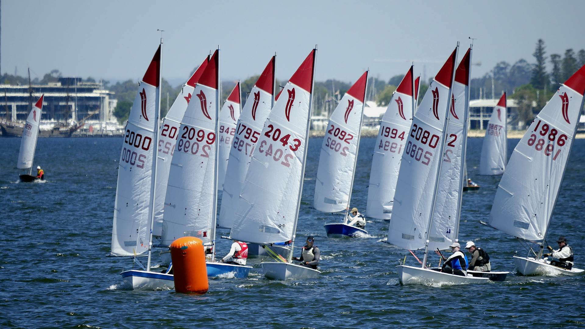 National Sabres 2017