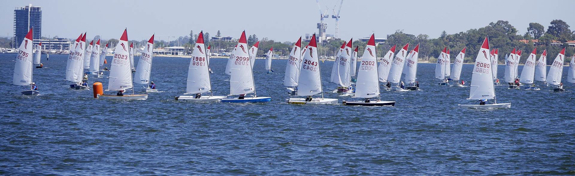 National Sabres 2017