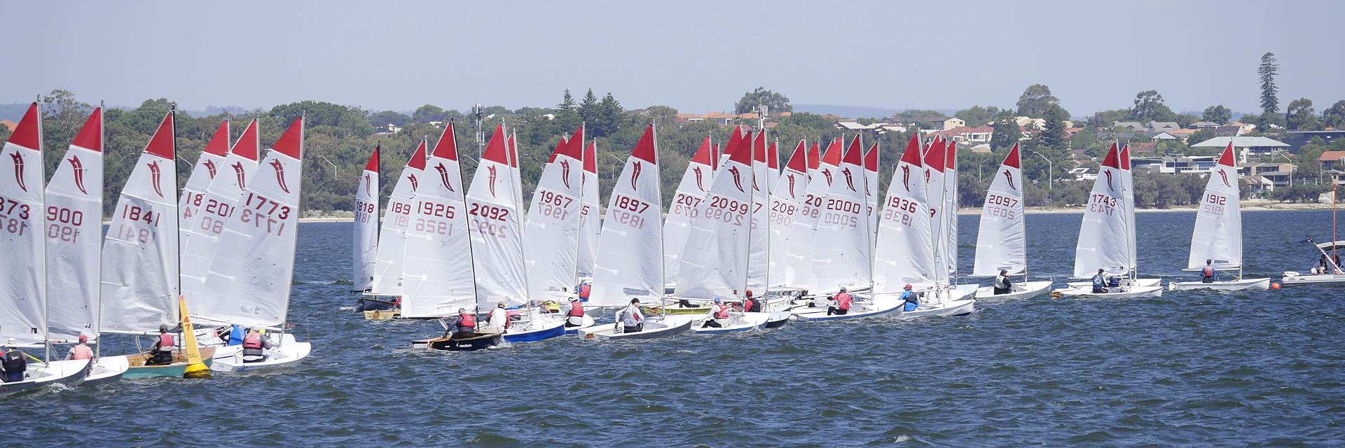 National Sabres 2017