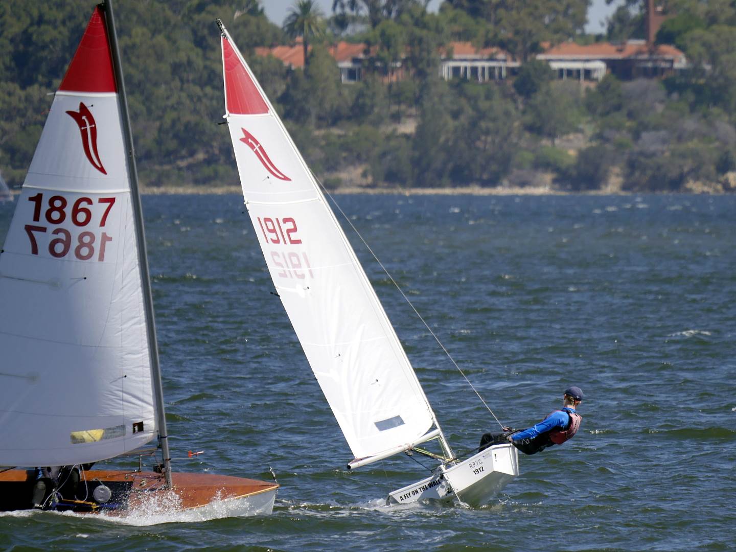 National Sabres 2017