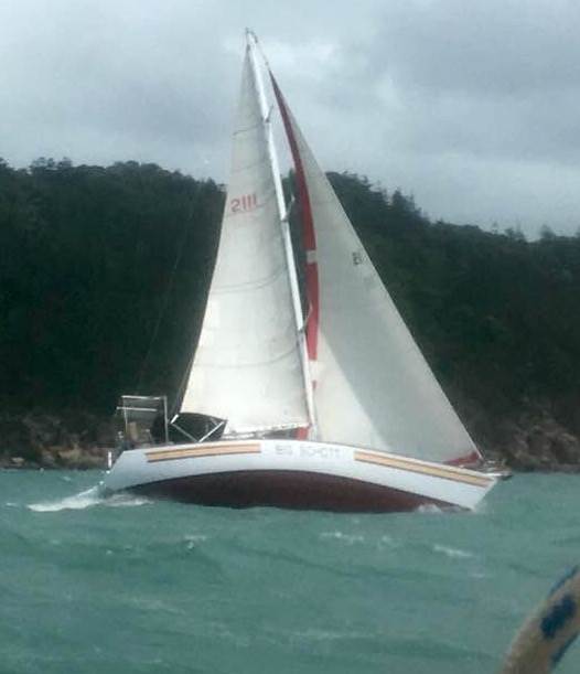 Big Schott January 2018