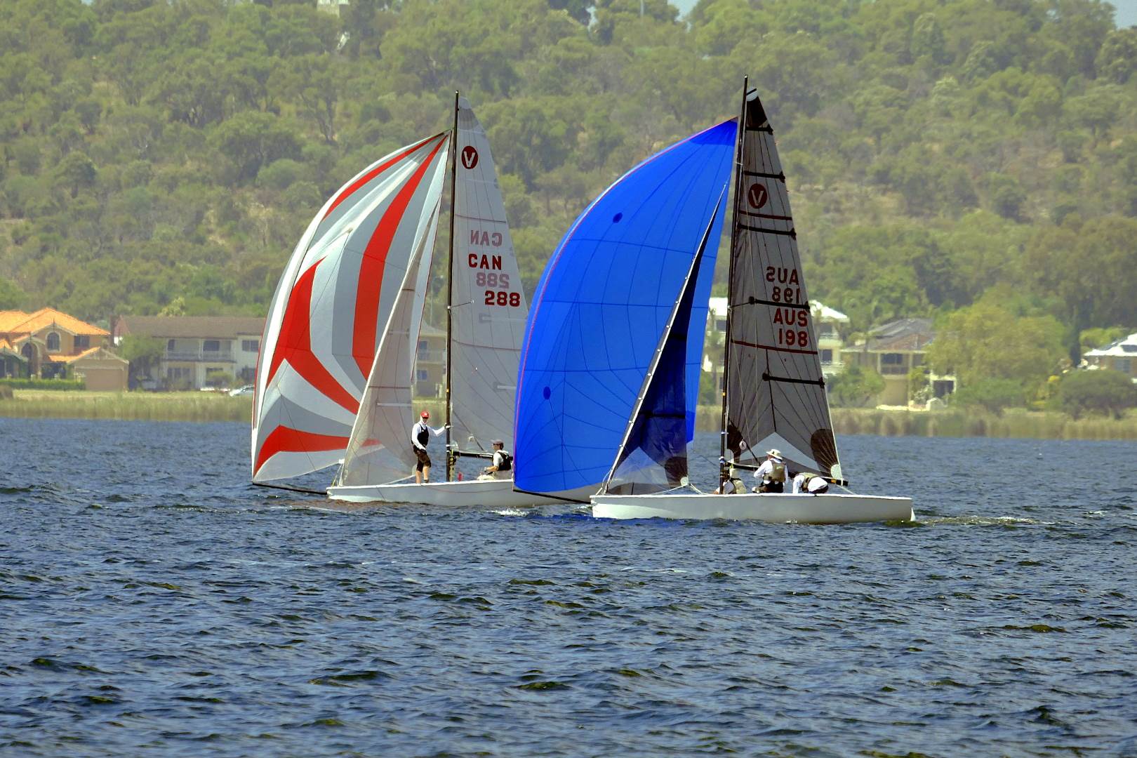 World Viper Championships