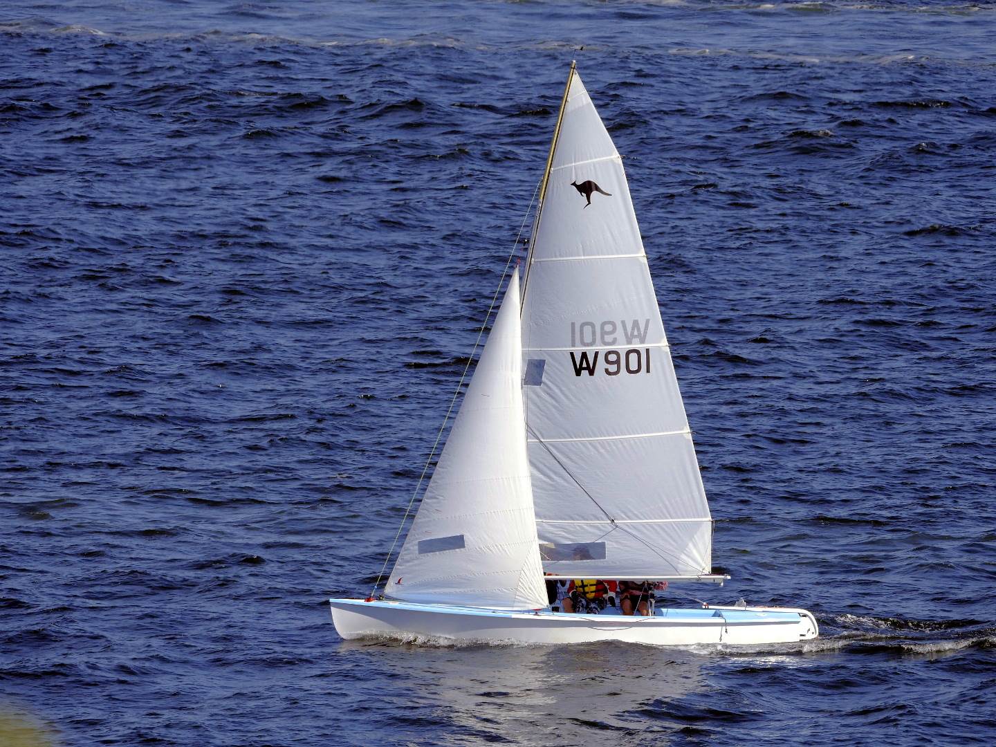 Sharpies and Skates on Swan