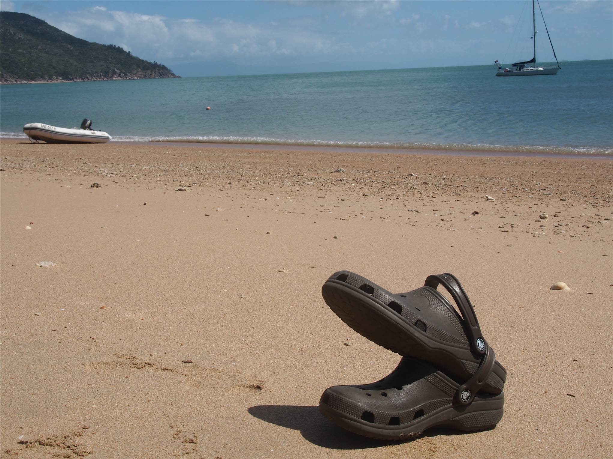 Two Crocs mating on the beach.