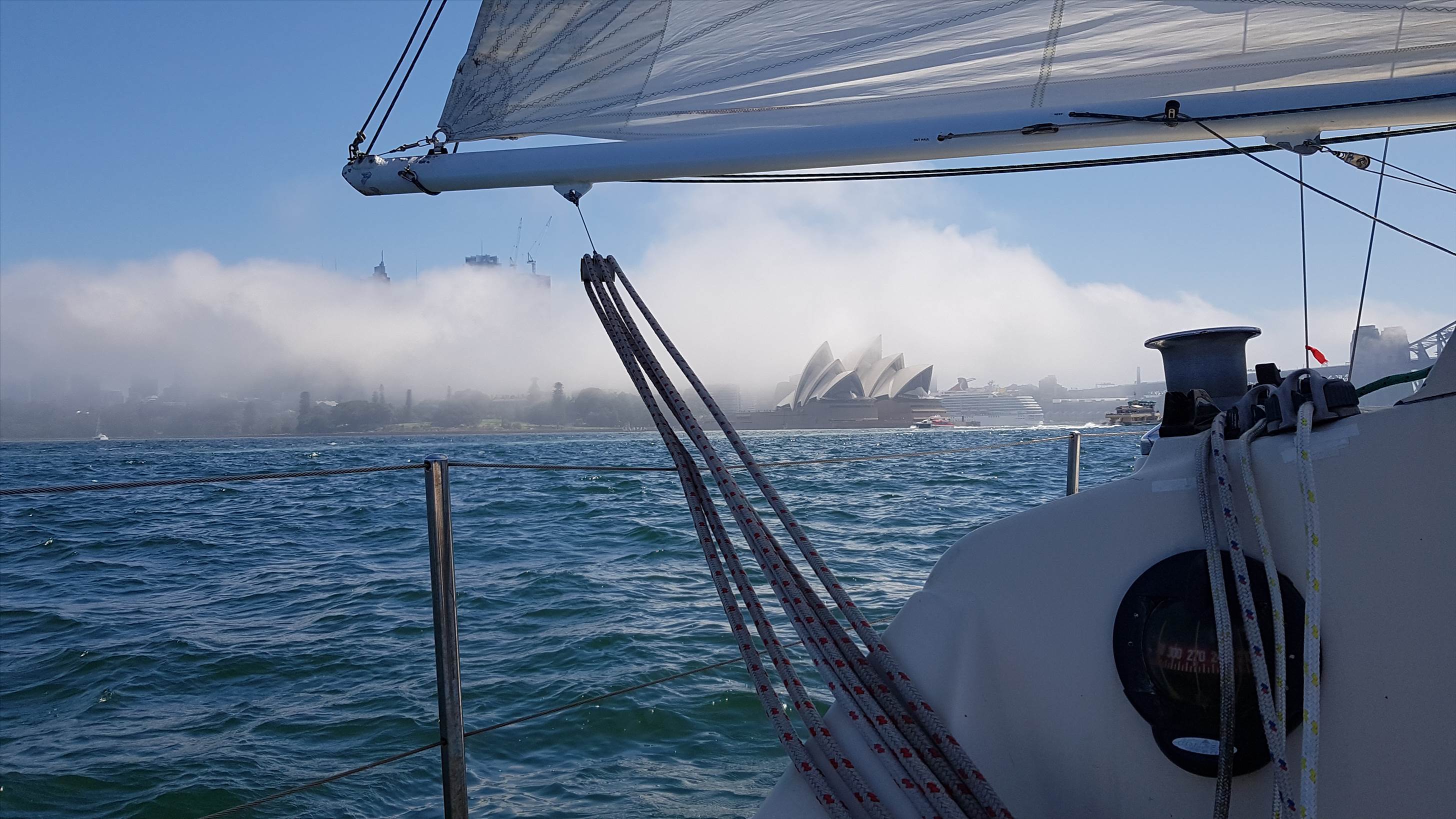 Sydney harbour sailing