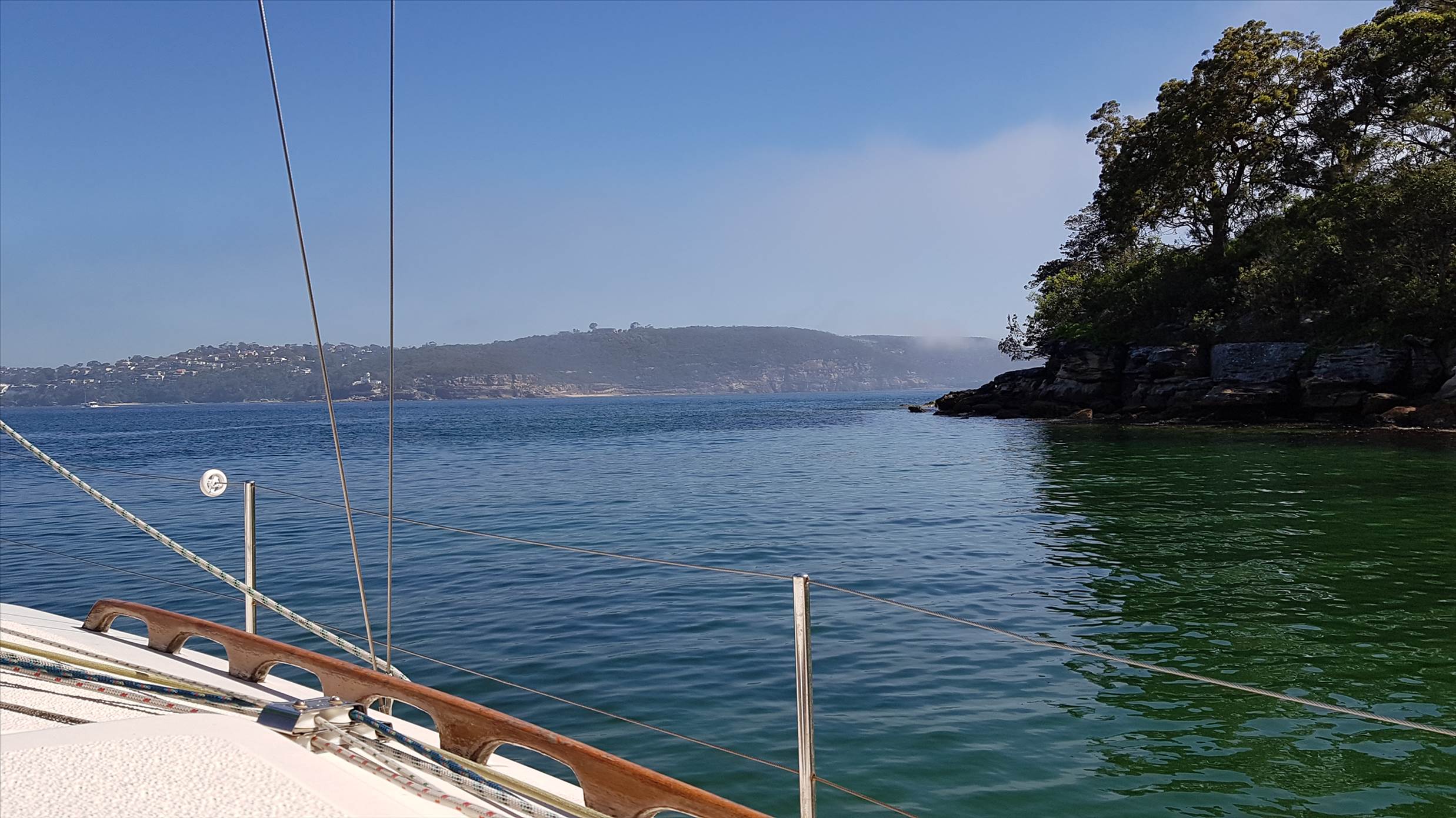 Sydney harbour sailing