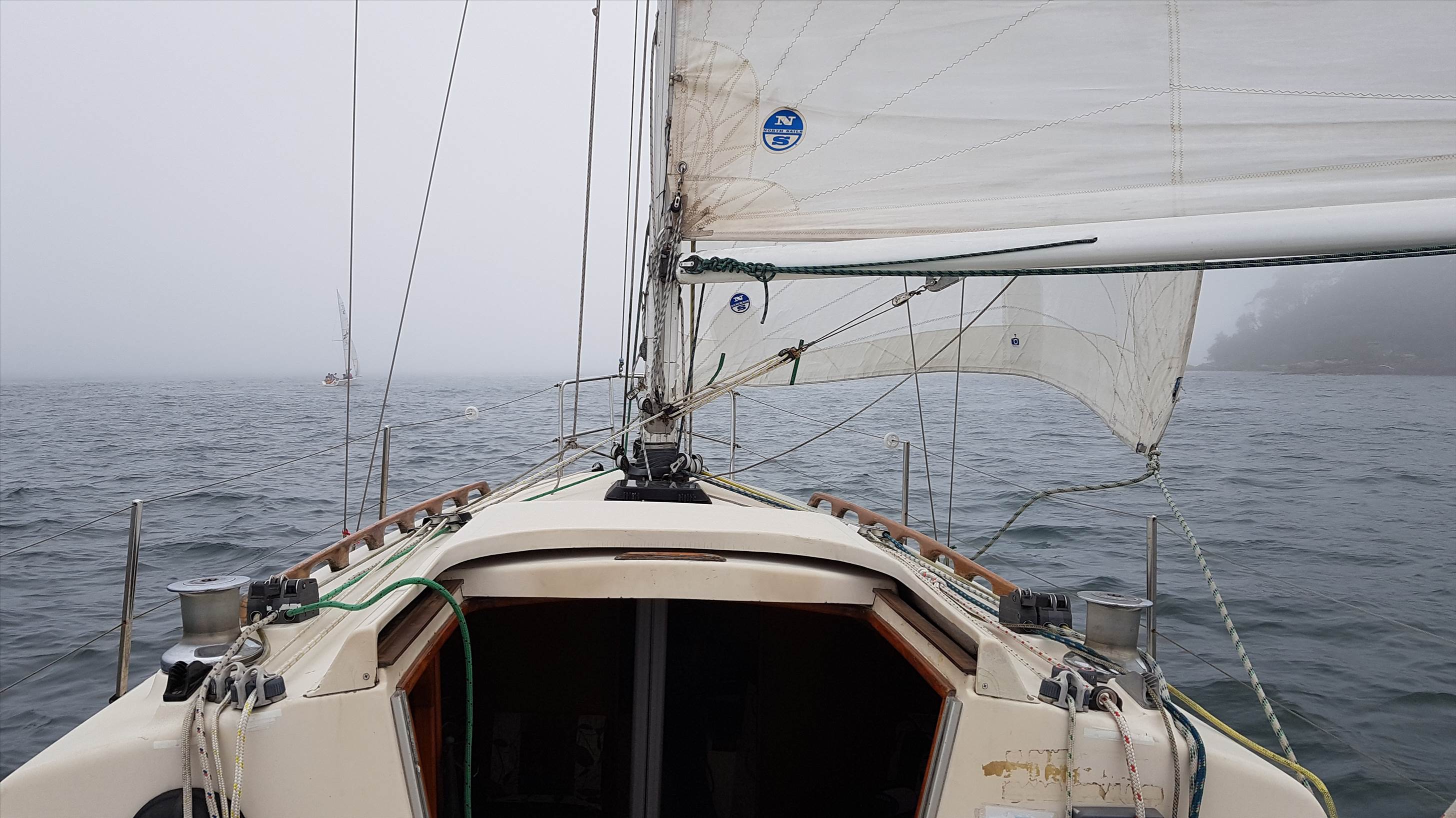 Sydney Harbour Sea Fog
